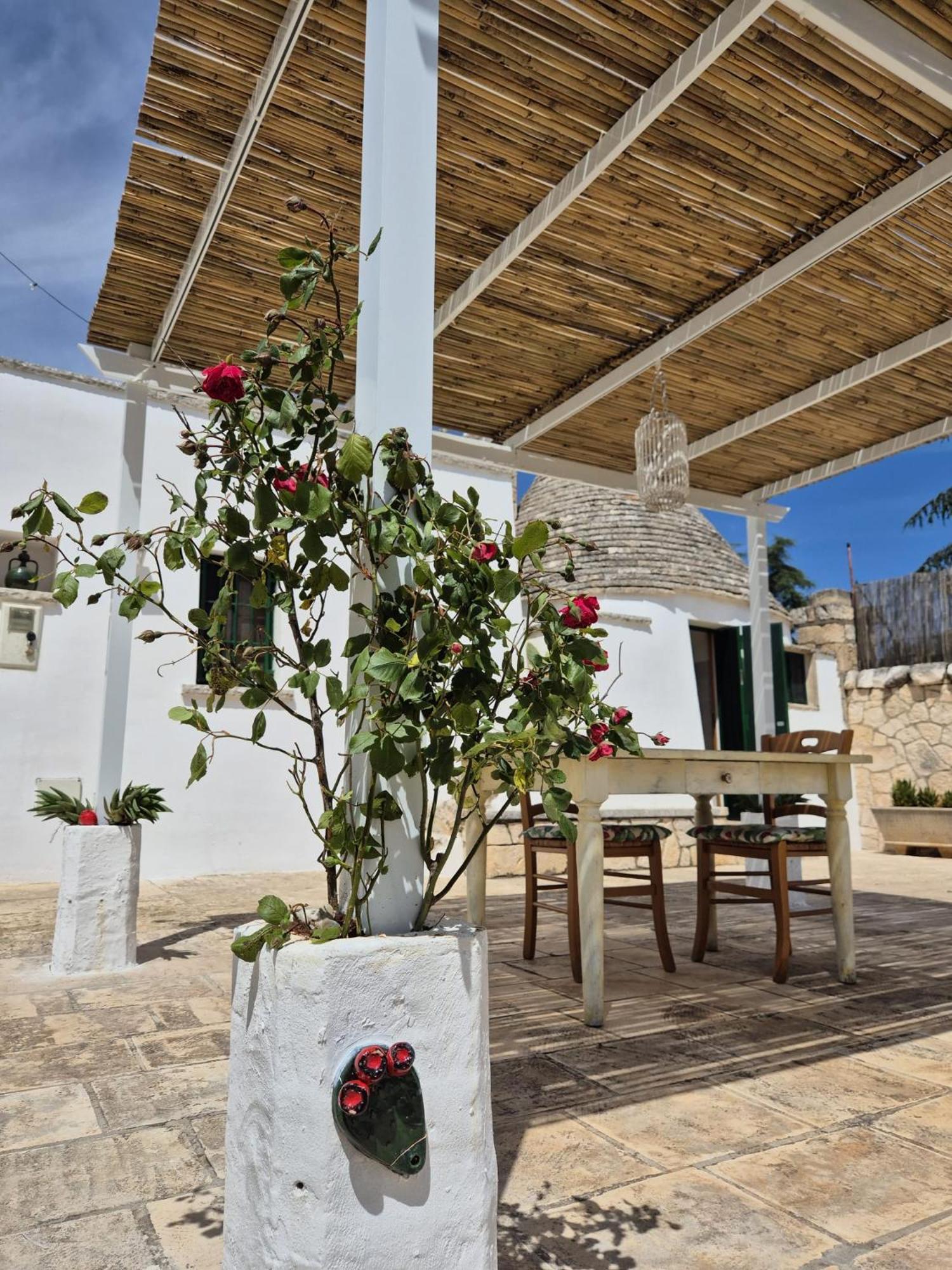 Villa Trulli And Pool - I Cactus Martina Franca Exterior foto